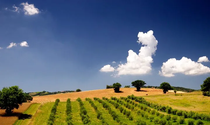 The Maremma