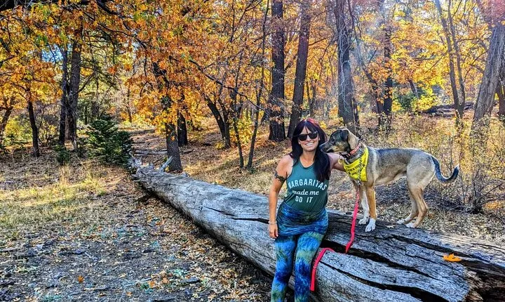 Big Bear Fall Colors Hiking Tour in Southern California