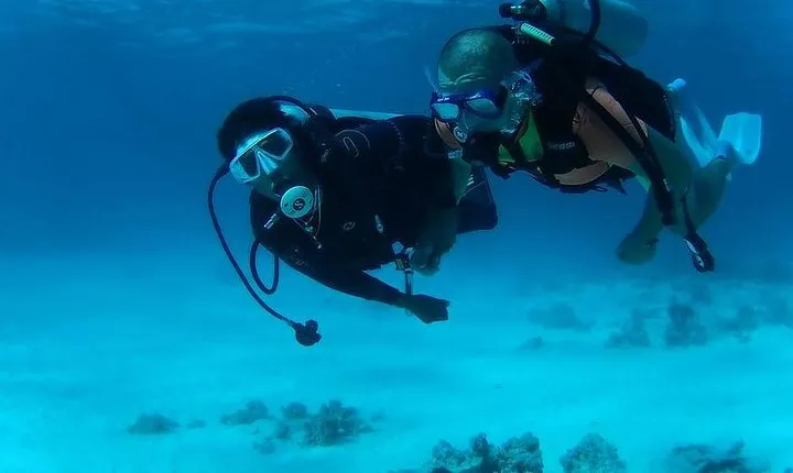 Day Scuba diving trip from Hurghada