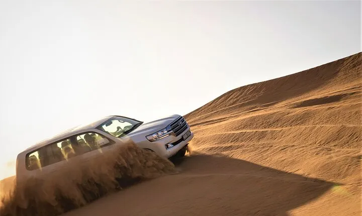Dubai Red Dunes with Sandboarding, Camel Ride, Falcon & VIP Camp