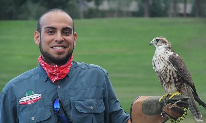 Colorado Springs Hands-On Falconry Class and Demonstration