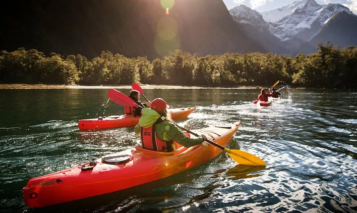 Milford Sound Cruise with Optional Kayak Tour