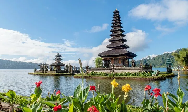 Explore North Bali (Temple, Waterfall, Rice Terrace)