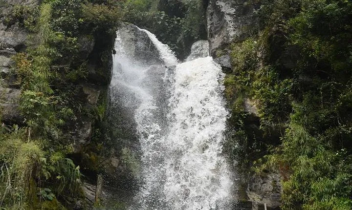 La Chorrera Ecological Walk (near Bogotá)