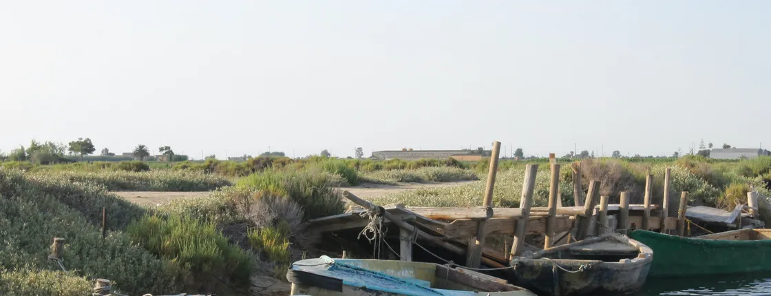 Ebro Delta Guided Tour