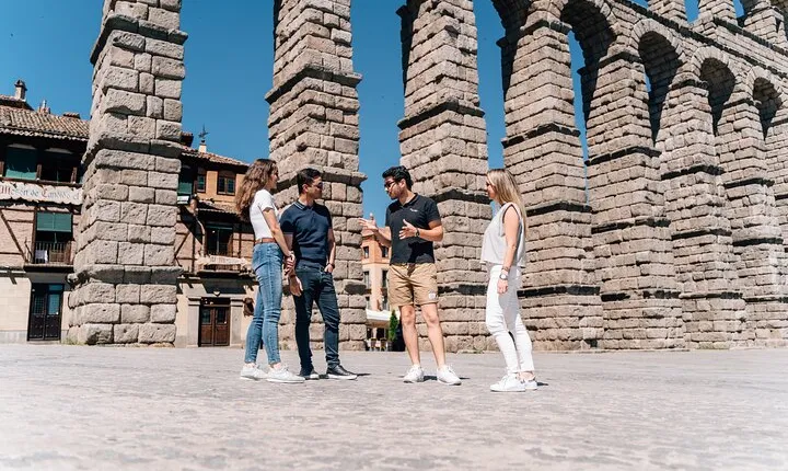 Segovia & Ribera del Duero Winery with Wine Tasting from Madrid