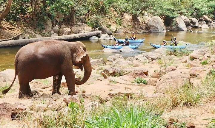 8KM Inflatable Kayaking Adventure