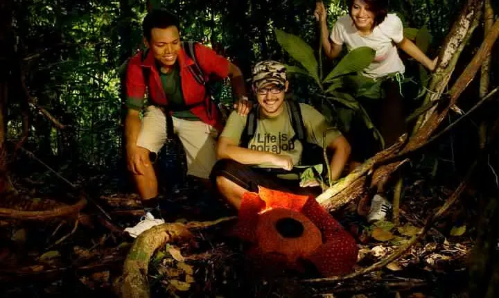 Amazing Taman Negara Day Trip from Kuala Lumpur Including Lunch