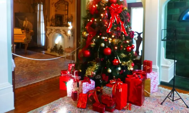 Coming Home For the Holidays