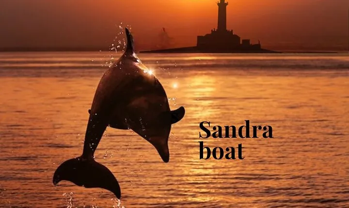 3hours all inclusive Sunset&Dolphin Tour from Medulin on Sandra