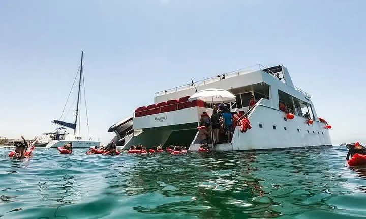 Los Cabos Reef Snorkeling Cruise with Lunch and Open Bar
