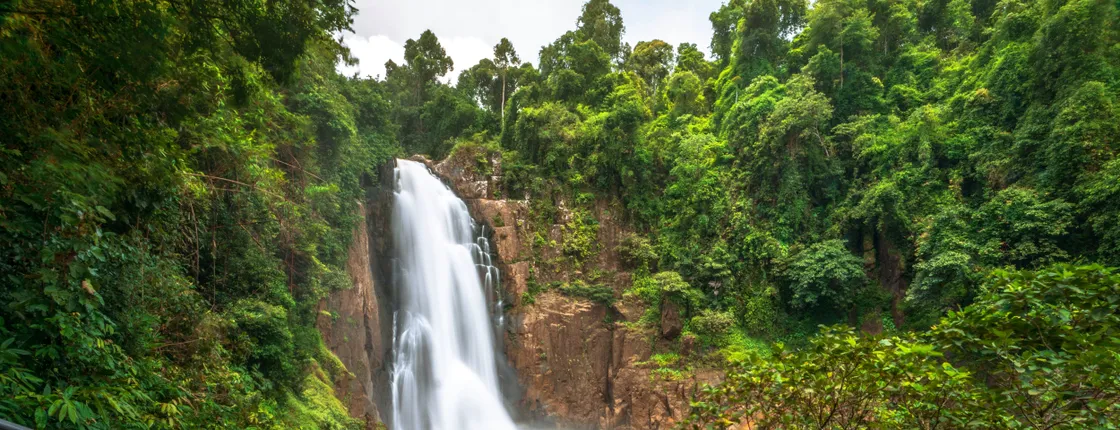 Khao Yai National Park Tour