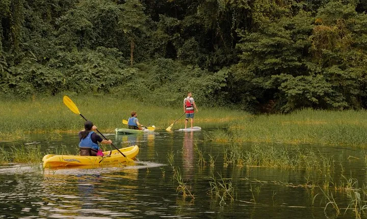 Discover the Beauty of Arenal Lake on a Guided Kayaking Tour