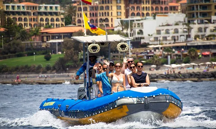 SEA SAFARI Dolphins, Whales, 3h speedboat DISCOVERY-TOUR