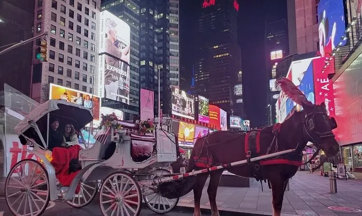 NYC Central Park & Rockefeller Center Private Horse Carriage Tour