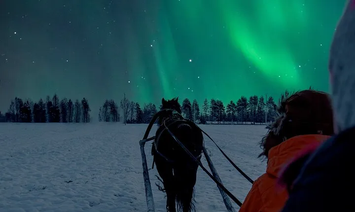 Horse Sleigh Ride Under The Night Sky in Apukka Resort, Rovaniemi