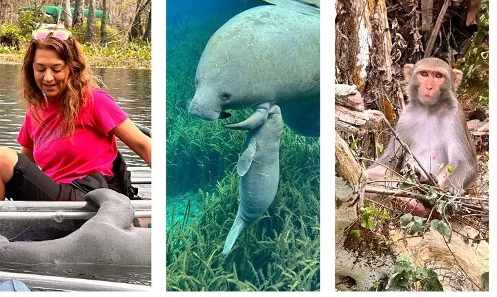 Silver Springs Clear Kayak Manatee, Monkey & Wildlife Adventures