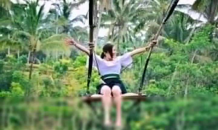 Ubud Experience | Full Day Private Tour in Ubud | FREE WIFI