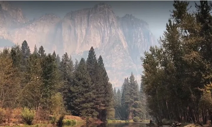 Yosemite, Kings Canyon National Parks 2 Day Tour from SF
