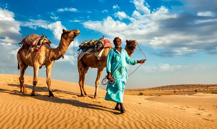 Camel Ride, Bedouin Dinner and Star Gazing in Marsa Alam