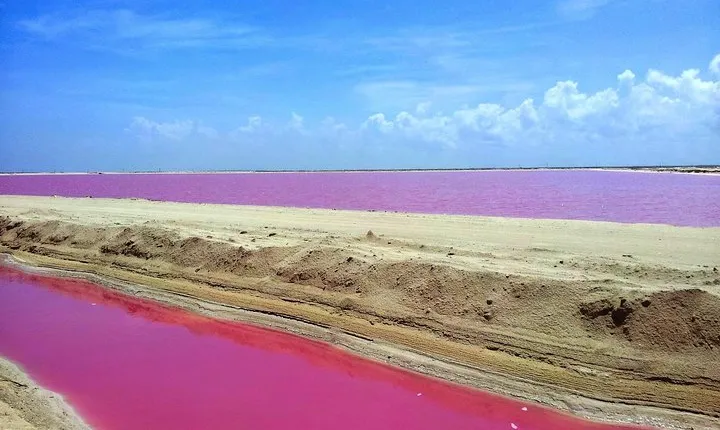 Pink Lagoon and Rio Lagartos from Cancun