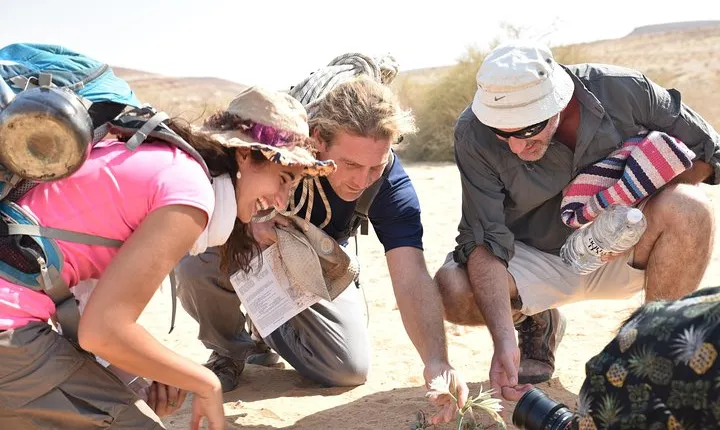 GoKedem 5-Day Private All-Inclusive Cross-Israel Adventure