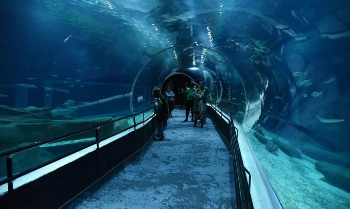 Aquario With Olympic Boulevard Rio de Janeiro