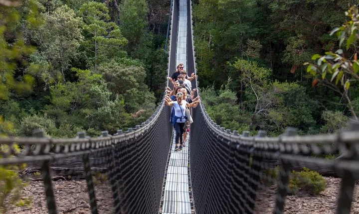 Tahune Airwalk & Hastings Cave Active Day Tour from Hobart