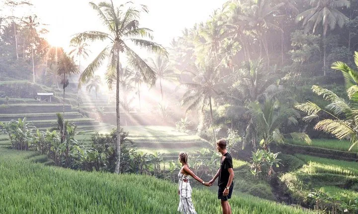 Ubud Scenery Bali Private Tour