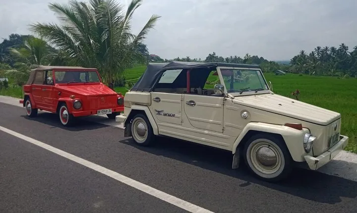 Bali Classic Volkswagen Safari and Kintamani Volcano Private Tour