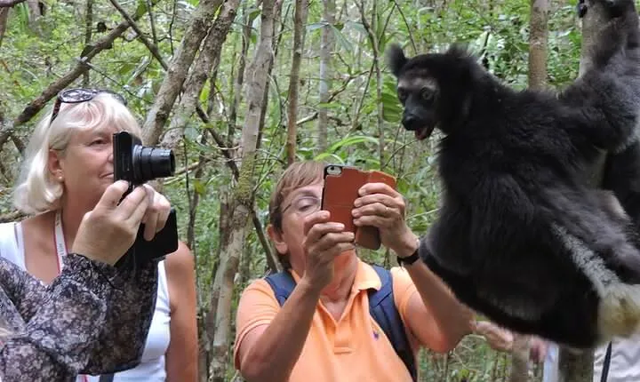 Madagascar in 7 days. Wildlife Expedition and Culture Immersion