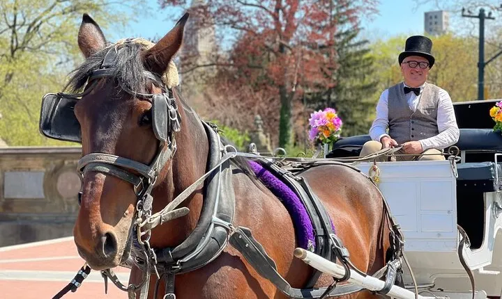 NYC Central Park Horse and Carriage Ride: Long Ride 45 min