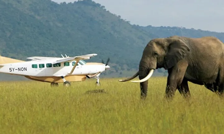 3 Day Serengeti Fly in Safari