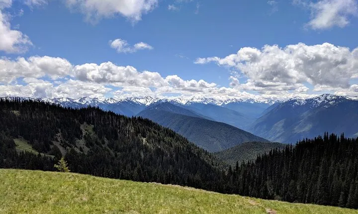 Olympic National Park - Private Luxury Day Tour with Lunch