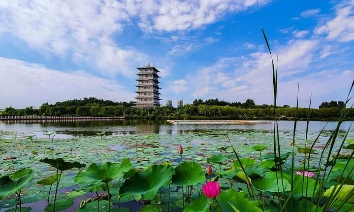 Round-Trip to International Horticultural Expo Garden by Private Transfer