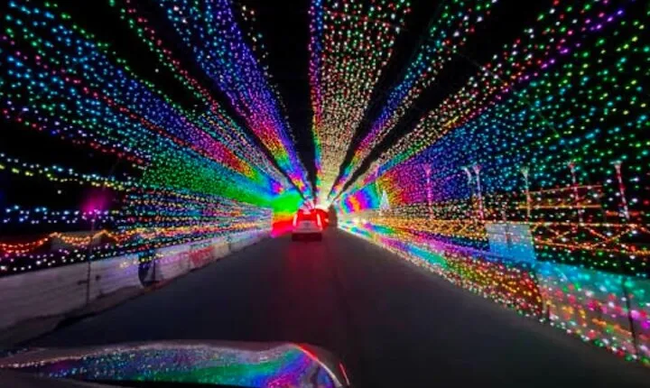 Las Vegas Christmas Light Tour 