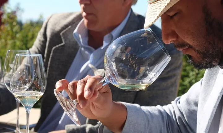 Wine Maker Hosted Wine Tasting Private Tour with Artisan Lunch