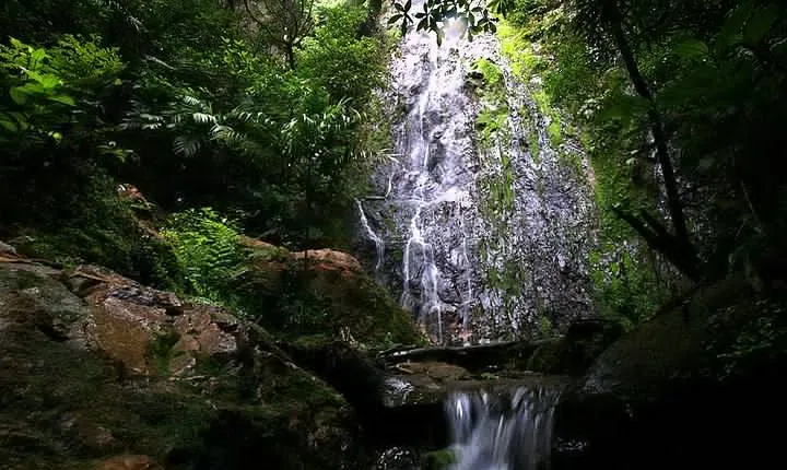 Day Trip to La Tigra and El Picacho Park