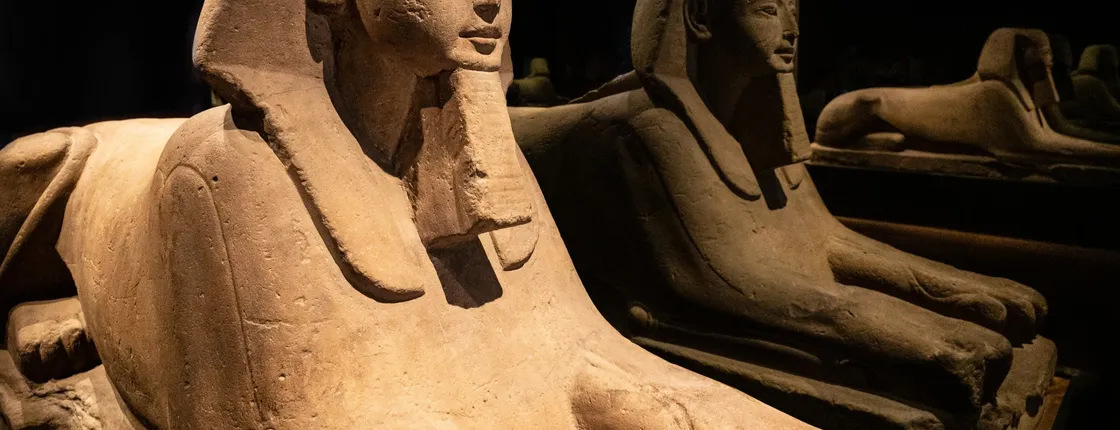 Turin tour with a guided visit to the Egyptian Museum
