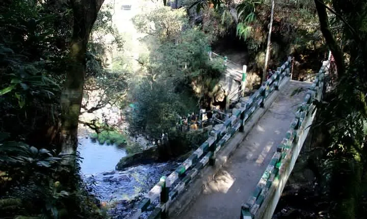 Shillong Nature Walk (3 Hours Guided Trekking Experience)