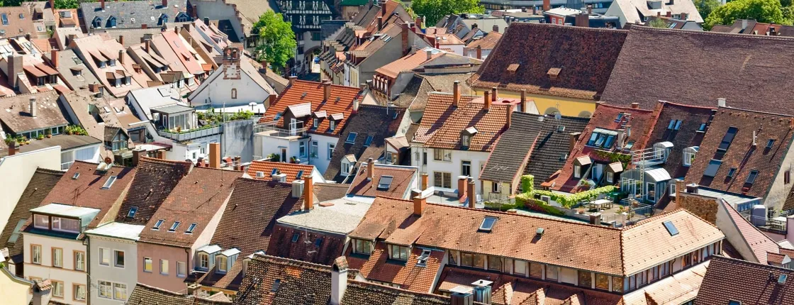 Private guided tour of Black Forest and Alsace from Zürich