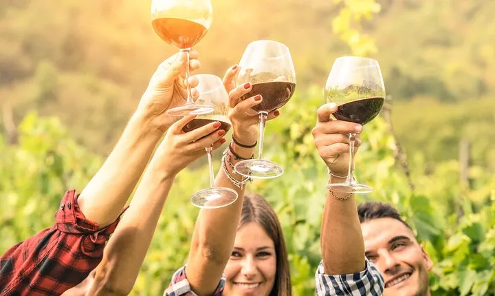 Barossa and Hahndorf Wine Tasting and Sightseeing Tour