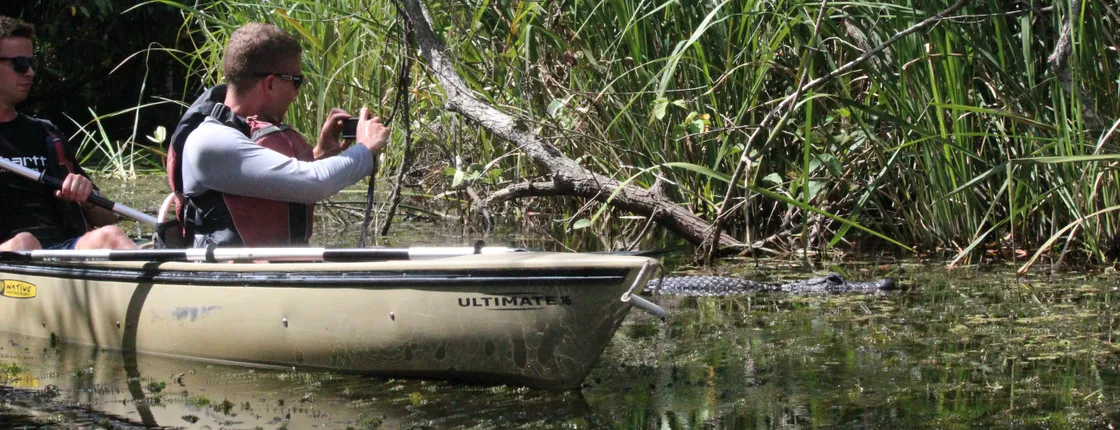 Everglades National Park mangrove tunnel kayak eco-tour