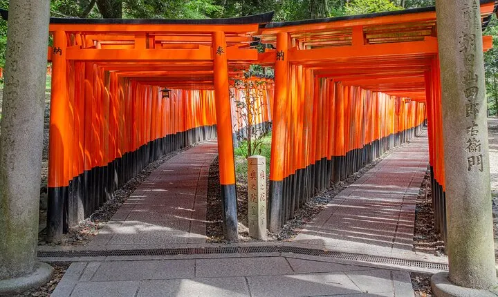 Kyoto Top 4 Must-see Attractions One Day Sightseeing Trip
