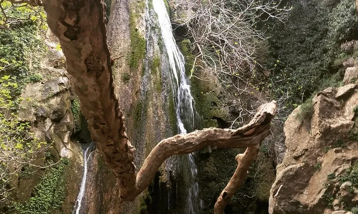 Richtis Waterfall, History, Azoria, OliveTasting, NorthCoast