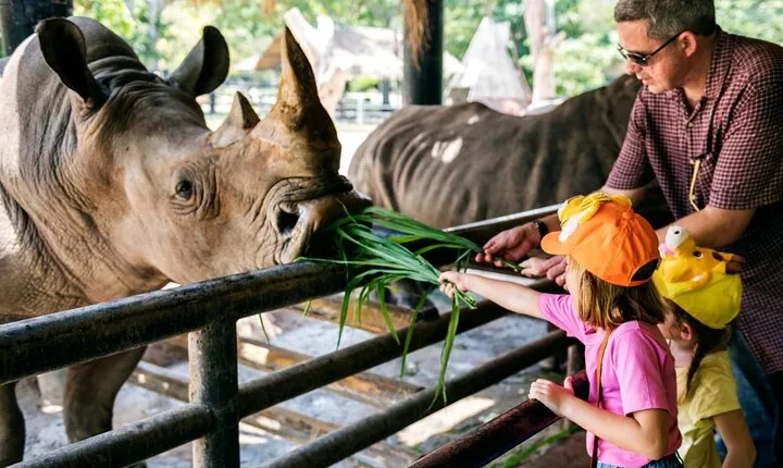 Berlin Tierpark Skip The Line Tickets and Private Transport