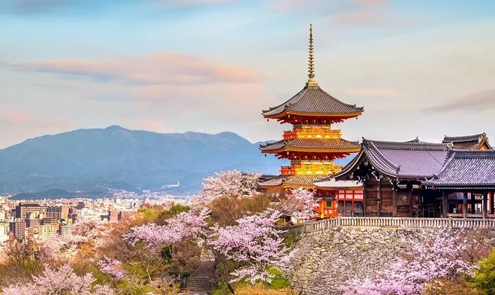 Osaka & Kyoto & Nara Top Hightlights English Speaking Tour