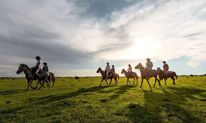 Adventure Horse Riding Palmeraie Grove & transfer- Marrakech