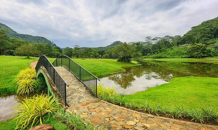 Seethawaka Botanical Garden Day Tour From Colombo With Lunch