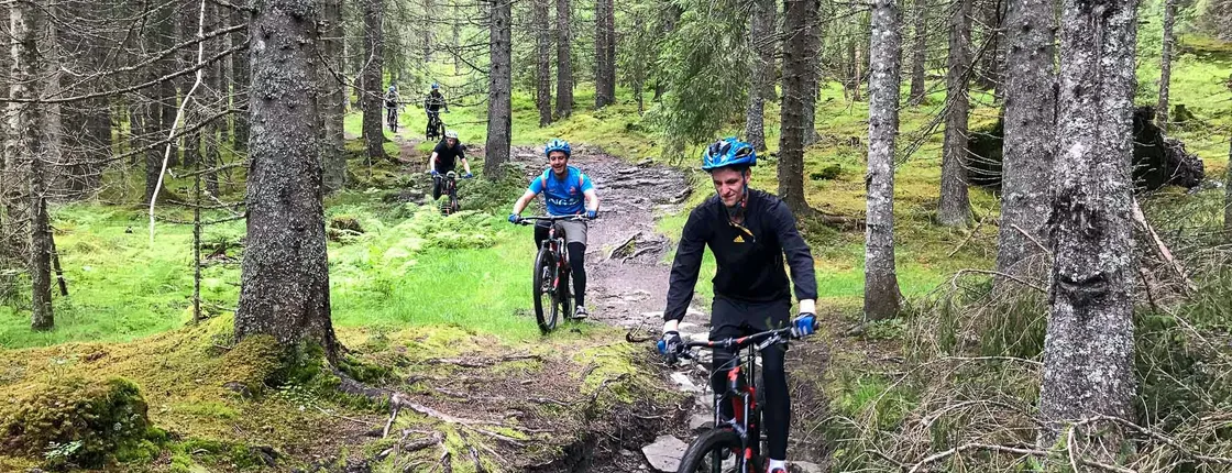 Guided mountain bike tour through the Voss hills